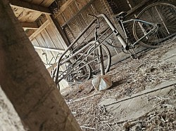 Antique bikes